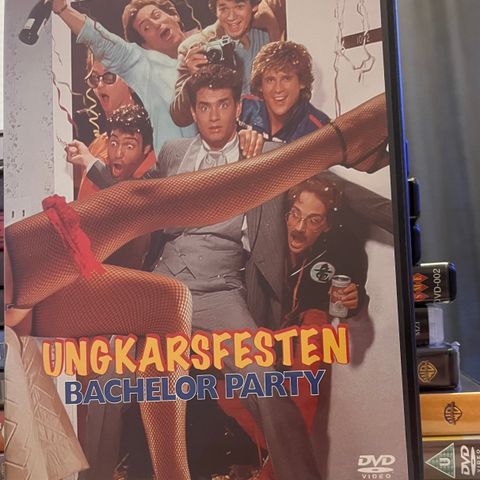 Ungkarsfesten