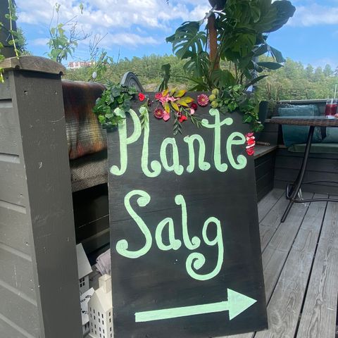 PLANTE SALG