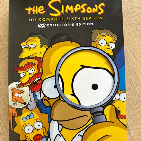 The Simpsons - The complete sixth season