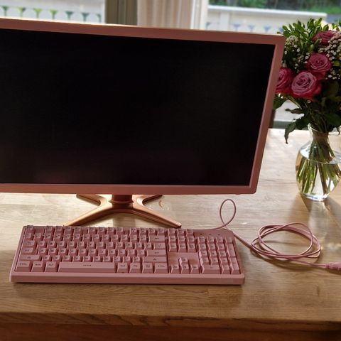 Rosa pc skjerm og tastatur