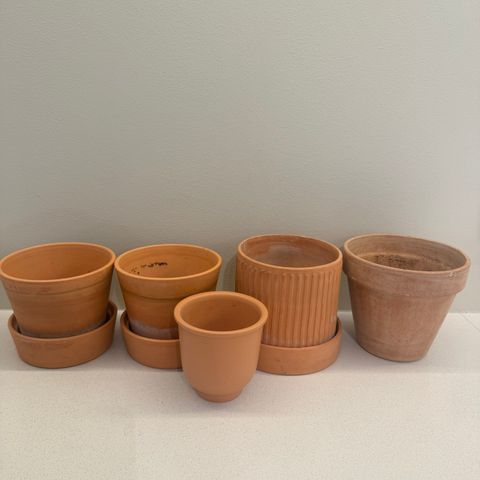 Terracotta potter