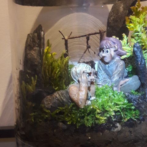 Terrarium tilsalgs.