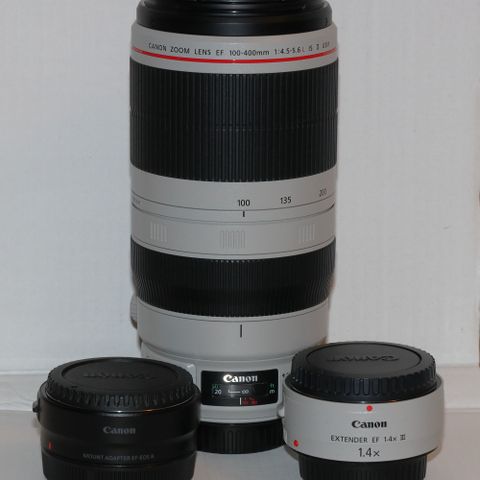 Canon EF 100-400mm 4.5-5.6L II, Canon Extender EF 1.4X III, Canon Mount Adapter