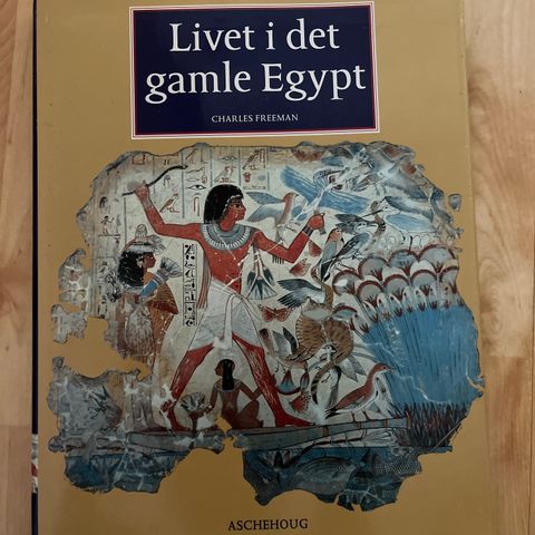 Bok - Livet i det gamle Egypt