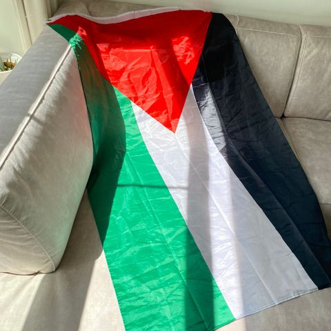 Palestina flagg