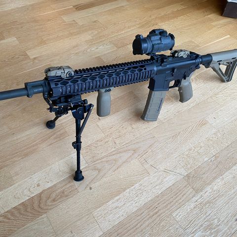 Bushmaster XM15-E2S Custom