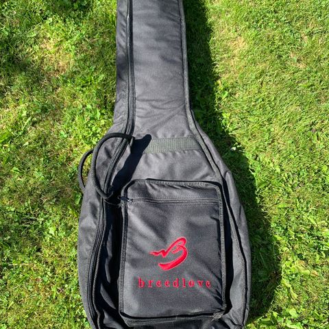 Gitarbag