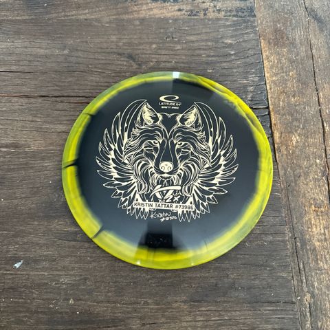 Diverse disc golf discer