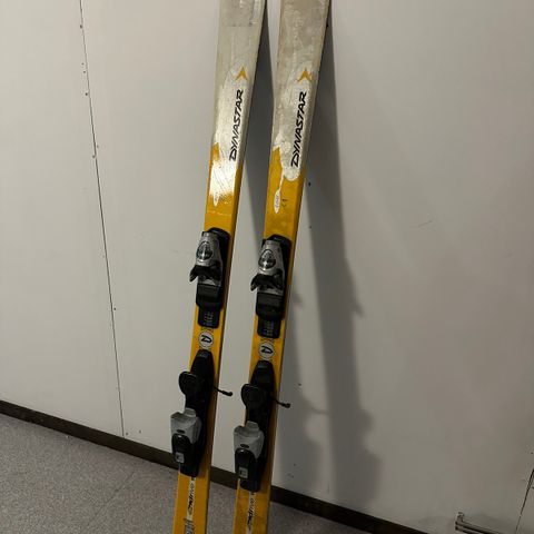Slalomski / Alpintski selges