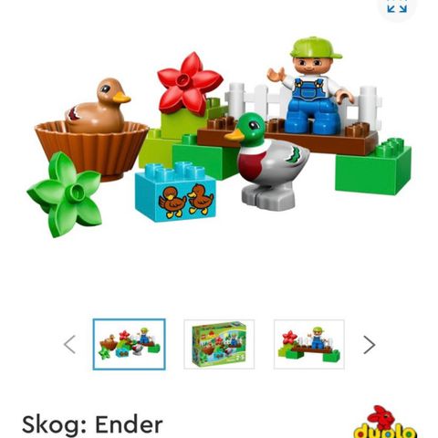 Duplo 10581 - Komplett sett