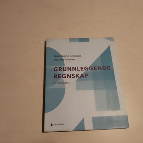 Grunnleggende regnskap en oversikt