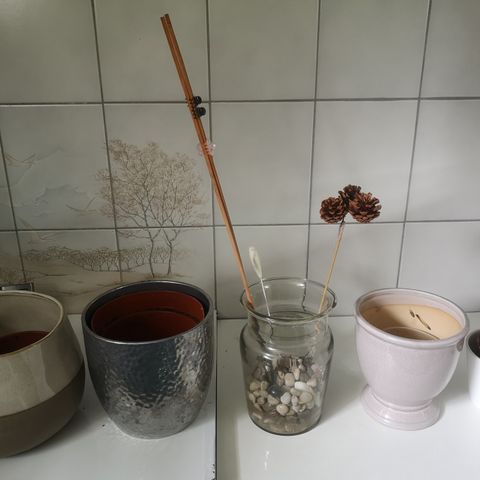 Blomster potter og tilbehør 250kr