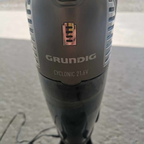 Støvsuger Grundig Cyclonic