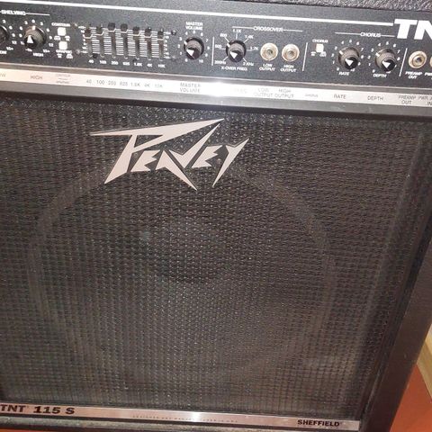 Peavey TNT 115s