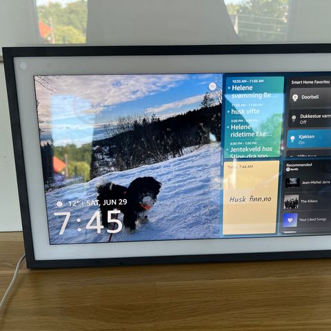 Amazon echo show 15 led