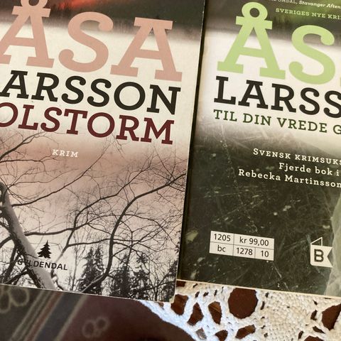 Solstorm.   Til din vrede går over.  Åsa Larsson