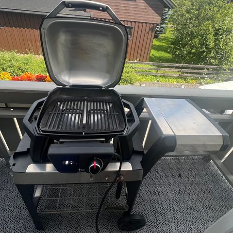 Weber Pulse iGrill 1000