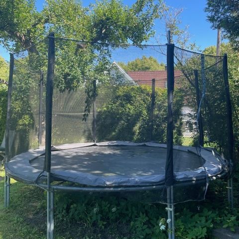 Trampoline