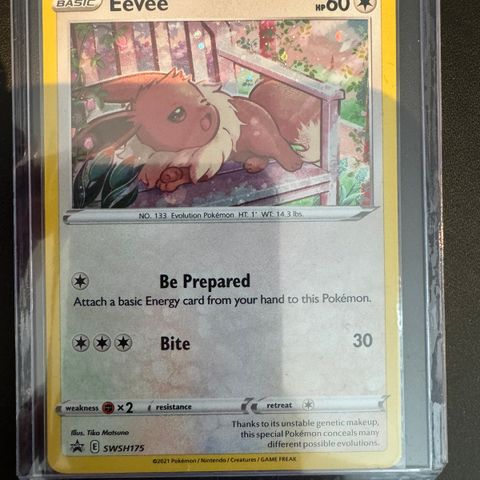 Pokemon Promo - Eevee SWSH175