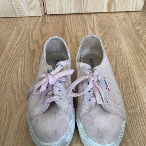 Rosa superga str 36