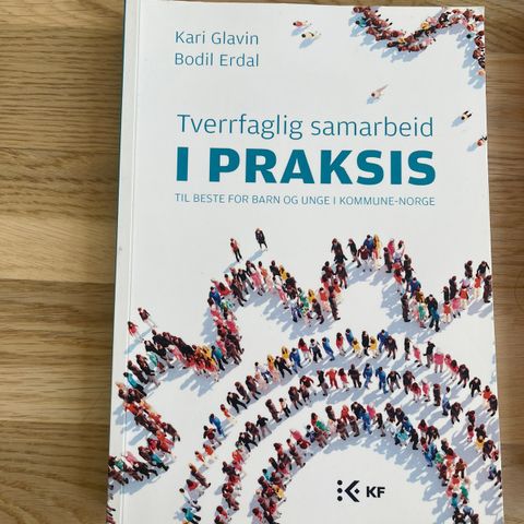 Tverrfaglig samarbeid i praksis - til beste for barn og unge i kommune-Norge