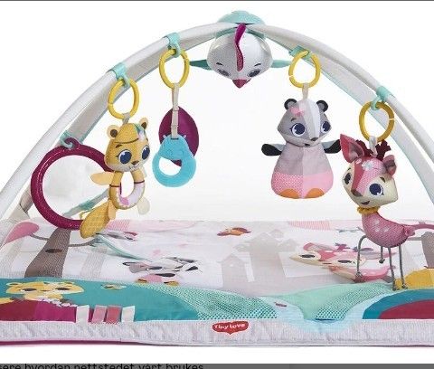 Gemini Deluxe Princess Tales Babygym fra Tiny Love