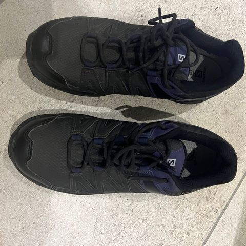 Salomon goretex sko str. 42