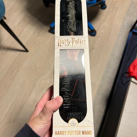 Harry Potter wand