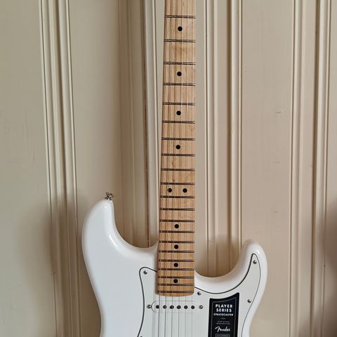 Fender Player Stratocaster

Polar White, MN