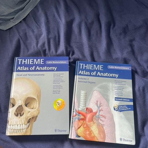 Thieme atlas anatomi