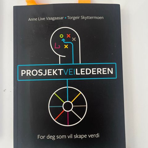 Prosjektveilederen