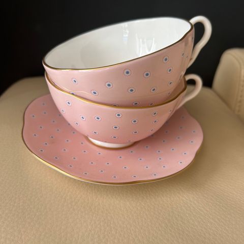 POLKA DOT WEDGWOOD