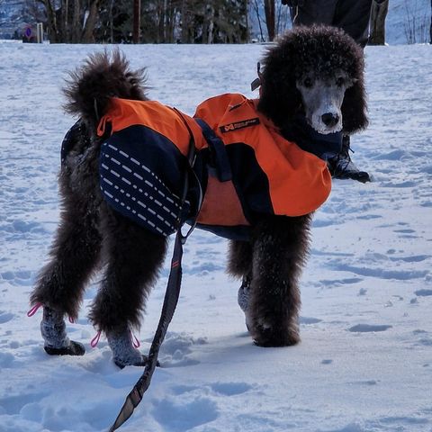 Non-stop glacier jacket