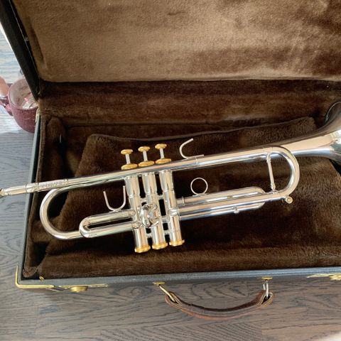 Strøken Stomvi trompet av modelltype Forte