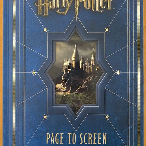 Harry Potter, Page to screen