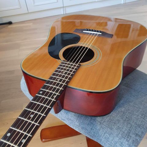 Aria 6720, Akustisk gitar