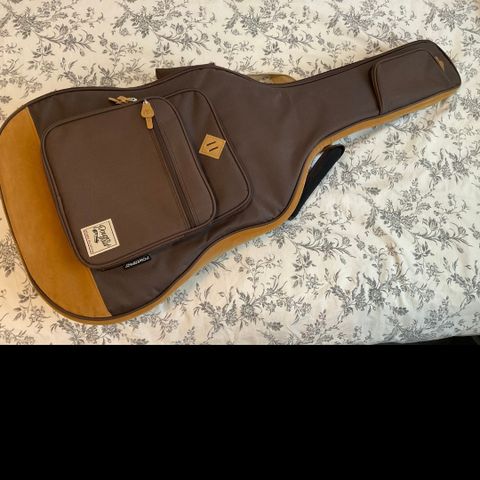 Acoustic Guitar bag