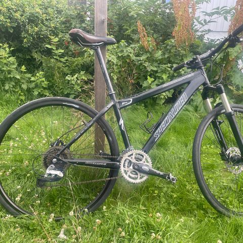 Specialized Rockhopper 19 tommer