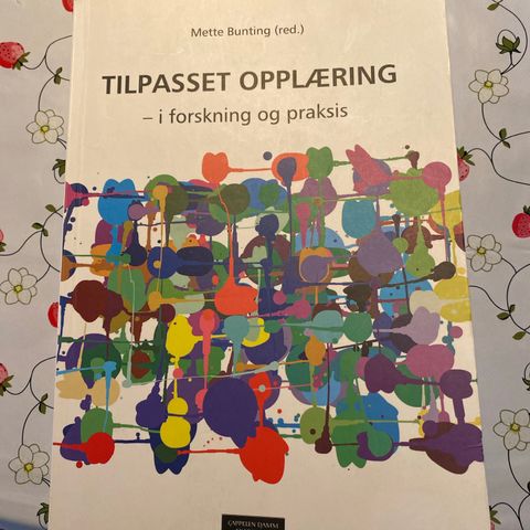 Tilpasset opplæring - i forskning og i praksis