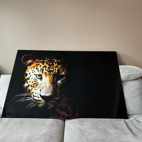 Leopardbilde i glass 120x80