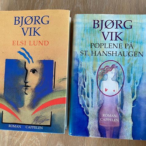 To meget gode bøker av Bjørg Vik