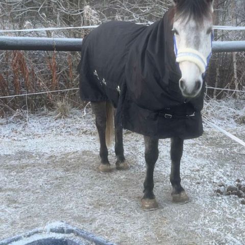 Vinterdekken 200 gram med hals