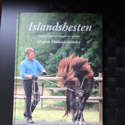 Islandshesten - veien til fremgang med hesten som partner