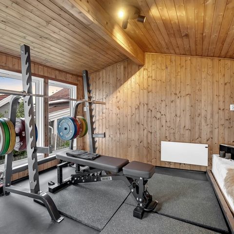 Hjemmegym - rack, olympisk stang, vektskiver, skrå-benk, underlag