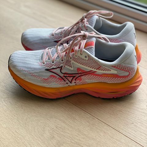 Mizuno wave rider 26