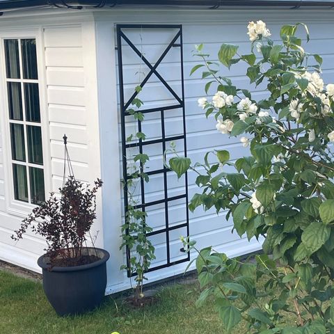 Espalier, «selv sveiset»