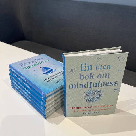 Mindfullness bok