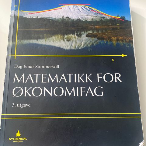 Matematikk for økonomifag