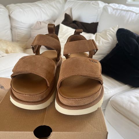 Ugg Goldenstar