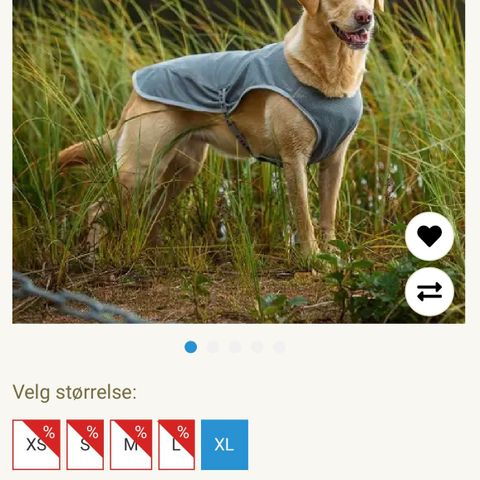 Kjølevest hund - best i test